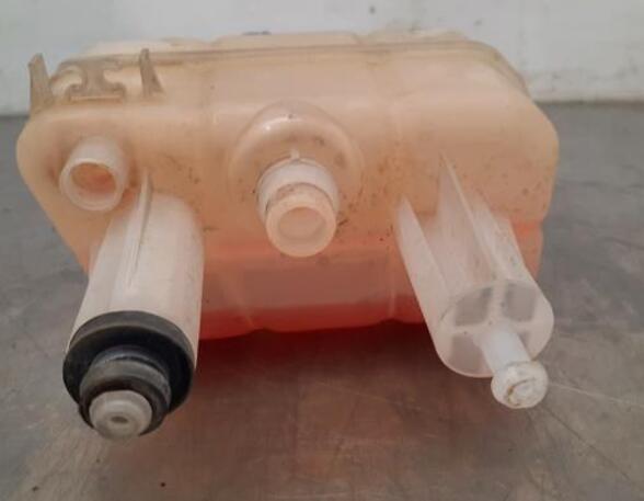 Coolant Expansion Tank FIAT DUCATO Van (250_, 290_), FIAT DUCATO Bus (250_, 290_)