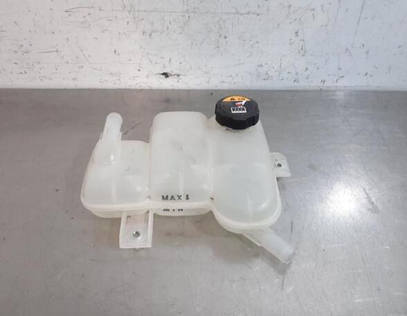 Coolant Expansion Tank KIA NIRO I (DE)