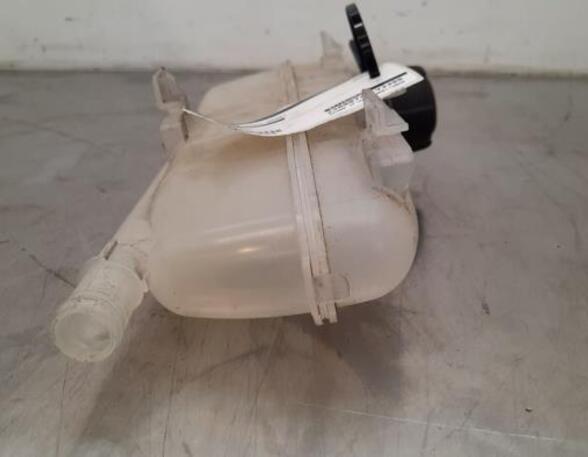 Coolant Expansion Tank RENAULT ZOE (BFM_), RENAULT ZOE Hatchback Van (BFM_)