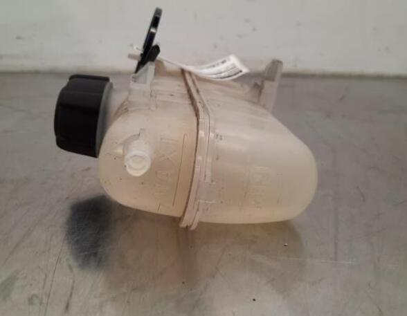 Coolant Expansion Tank RENAULT ZOE (BFM_), RENAULT ZOE Hatchback Van (BFM_)