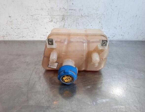 Coolant Expansion Tank PEUGEOT BOXER Van, OPEL MOVANO C Van (U9), CITROËN JUMPER Van