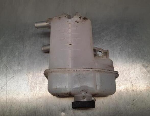 Coolant Expansion Tank TOYOTA RAV 4 V (_A5_, _H5_)