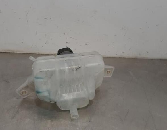 Coolant Expansion Tank NISSAN QASHQAI II SUV (J11, J11_)