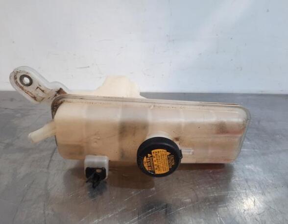 Coolant Expansion Tank TOYOTA RAV 4 III (_A3_)