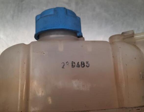 Coolant Expansion Tank FIAT FIORINO Box Body/MPV (225_), FIAT QUBO (225_), FIAT FIORINO MPV (225_)