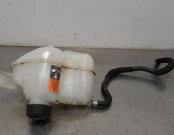 Coolant Expansion Tank NISSAN QASHQAI II SUV (J11, J11_)