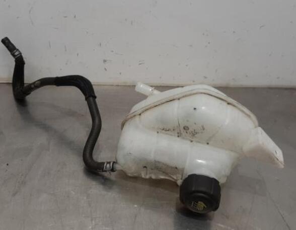 Coolant Expansion Tank NISSAN QASHQAI II SUV (J11, J11_)