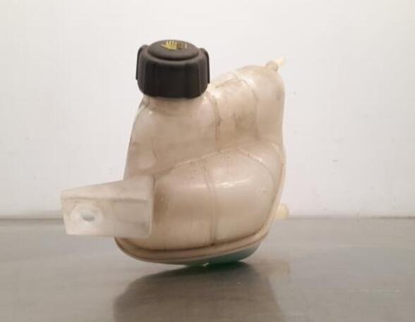 Coolant Expansion Tank NISSAN QASHQAI II SUV (J11, J11_)