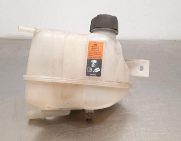 Coolant Expansion Tank NISSAN QASHQAI II SUV (J11, J11_)