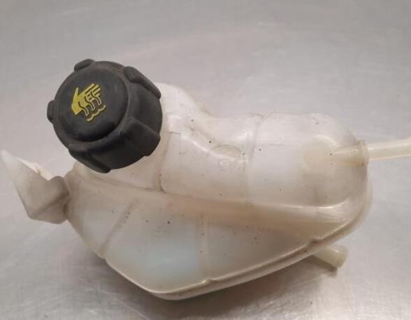 Coolant Expansion Tank NISSAN QASHQAI II SUV (J11, J11_)