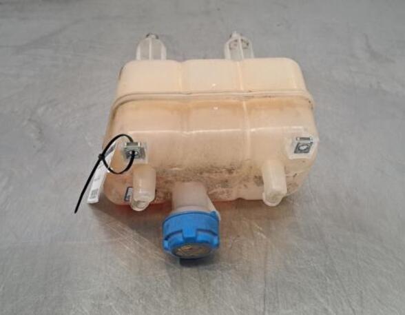 Coolant Expansion Tank FIAT DUCATO Van (250_, 290_), FIAT DUCATO Bus (250_, 290_)