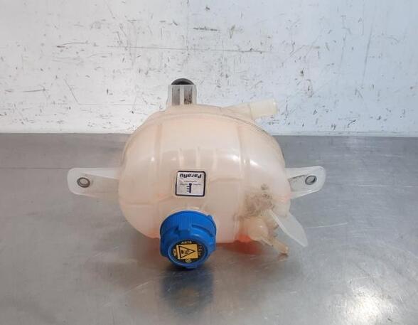 Coolant Expansion Tank FIAT FIORINO Box Body/MPV (225_), FIAT QUBO (225_), FIAT FIORINO MPV (225_)