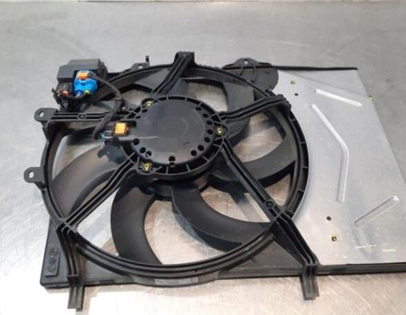 Radiator Electric Fan  Motor PEUGEOT 208 I (CA_, CC_), CITROËN C3 II (SC_), CITROËN C3 III (SX), CITROËN C4 CACTUS