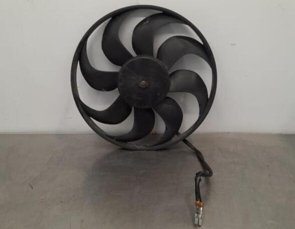 Radiator Electric Fan  Motor PEUGEOT 308 SW II (LC_, LJ_, LR_, LX_, L4_)