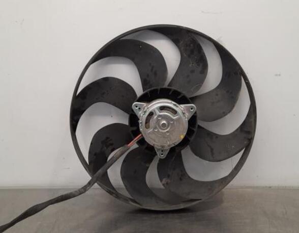 Radiator Electric Fan  Motor PEUGEOT 308 SW II (LC_, LJ_, LR_, LX_, L4_)