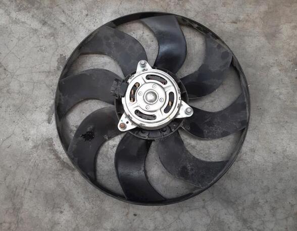 Radiator Electric Fan  Motor RENAULT MASTER III Van (FV)