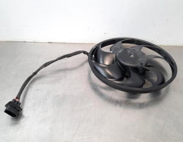 Radiator Electric Fan  Motor VW POLO (AW1, BZ1)