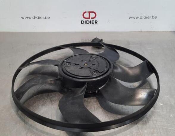 Radiator Electric Fan  Motor MERCEDES-BENZ E-CLASS (W213)