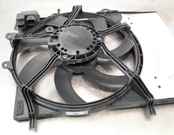 Radiator Electric Fan  Motor CITROËN C4 CACTUS, CITROËN C3 II (SC_), CITROËN C3 III (SX), PEUGEOT 208 I (CA_, CC_)