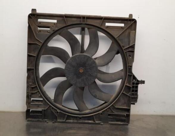 Radiator Electric Fan  Motor BMW X6 (E71, E72)