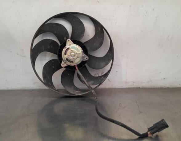 Radiator Electric Fan  Motor PEUGEOT RIFTER, PEUGEOT PARTNER Box Body/MPV (K9), CITROËN BERLINGO Box Body/MPV (K9)