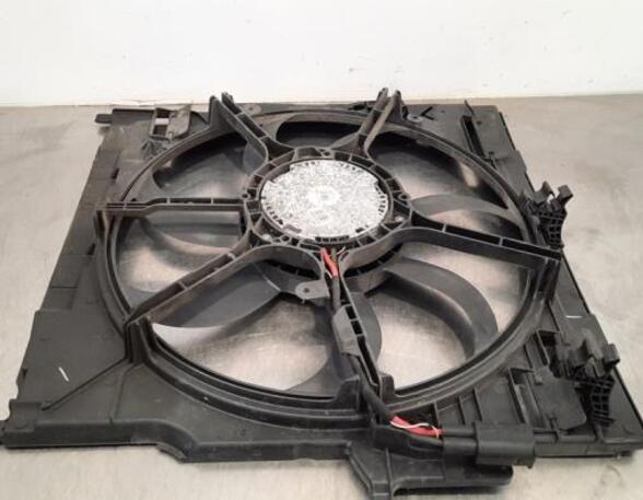 Radiator Electric Fan  Motor BMW X5 (E70), BMW X6 (E71, E72)