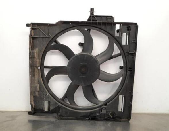 Radiator Electric Fan  Motor BMW X5 (E70), BMW X6 (E71, E72)