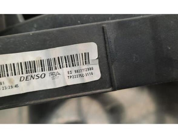 Radiator Electric Fan  Motor PEUGEOT 2008 II (UD_, US_, UY_, UK_)