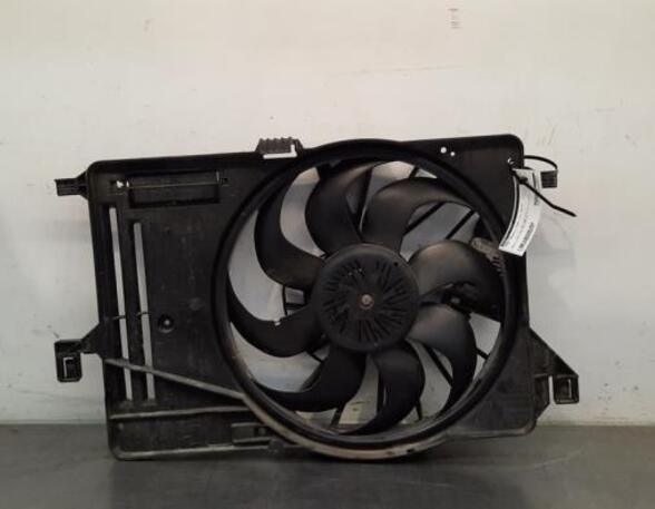 Radiator Electric Fan  Motor FORD TRANSIT CONNECT V408 Box Body/MPV