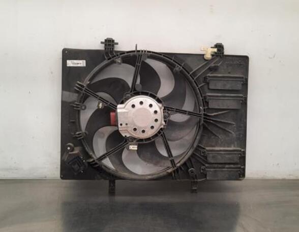 Radiator Electric Fan  Motor FORD FIESTA VII (HJ, HF)