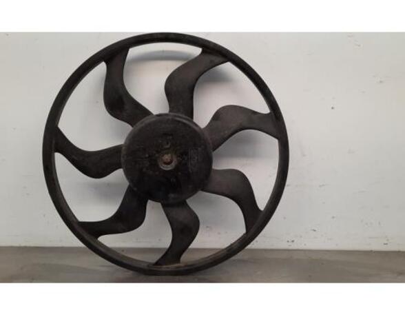 Radiator Electric Fan  Motor RENAULT CLIO V (B7_)