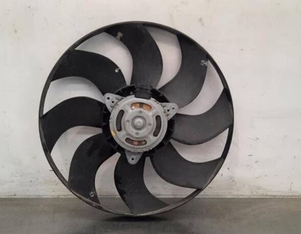 Radiator Electric Fan  Motor RENAULT MASTER III Van (FV)