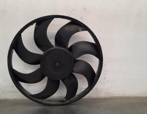 Radiator Electric Fan  Motor RENAULT MASTER III Van (FV)