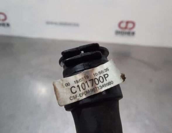 Radiator Hose CITROËN C3 III (SX)