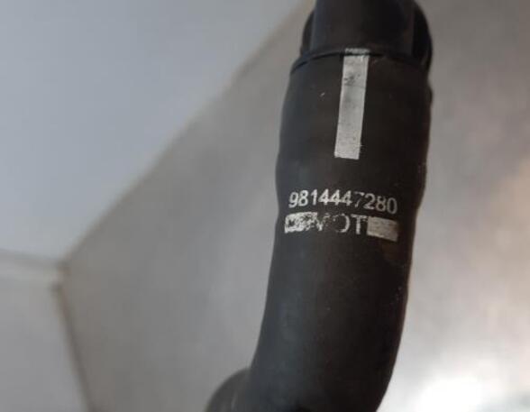 Radiator Hose CITROËN C3 III (SX)