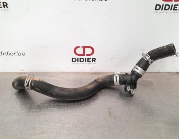 Radiator Hose TOYOTA PRIUS PHV (_W52_), TOYOTA C-HR (_X1_)