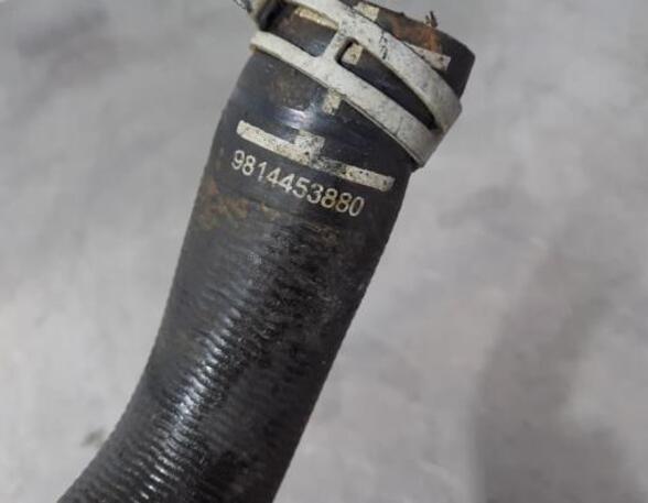 Radiator Hose PEUGEOT 208 I (CA_, CC_)