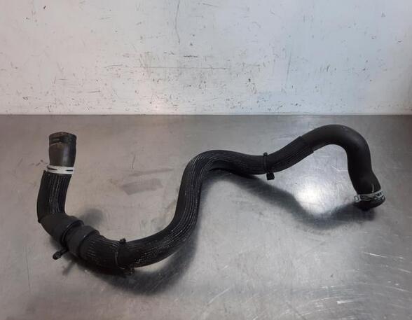 Radiator Hose RENAULT MEGANE IV Hatchback (B9A/M/N_)