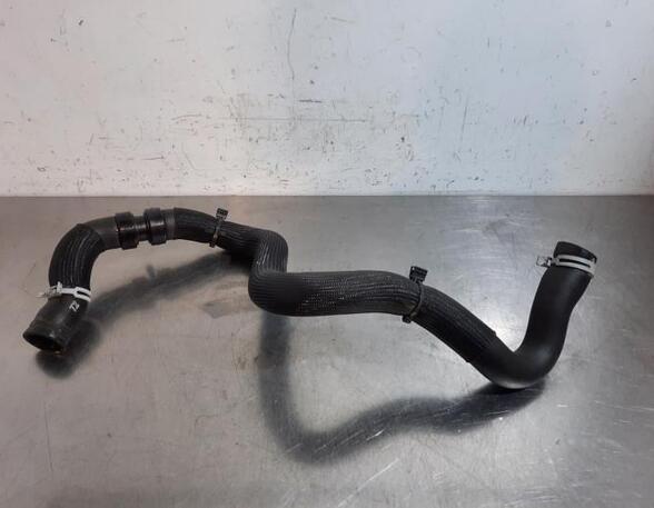 Radiator Hose RENAULT MEGANE IV Hatchback (B9A/M/N_)