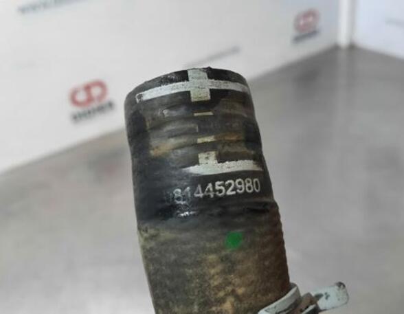 Radiator Hose CITROËN C3 III (SX)