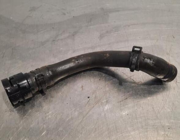 Radiator Hose VW POLO (AW1, BZ1)