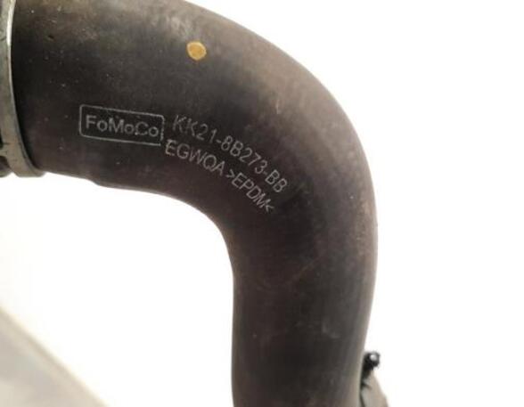 Radiator Hose FORD TRANSIT V363 Bus (FAD, FBD), FORD TRANSIT V363 Van (FCD, FDD)