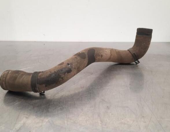 Radiator Hose VW AMAROK (2HA, 2HB, S1B, S6B, S7A, S7B), VW AMAROK Platform/Chassis (S1B, S6B, S7B)