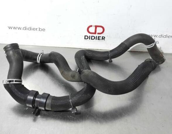 Radiator Hose RENAULT MEGANE IV Grandtour (K9A/M/N_)