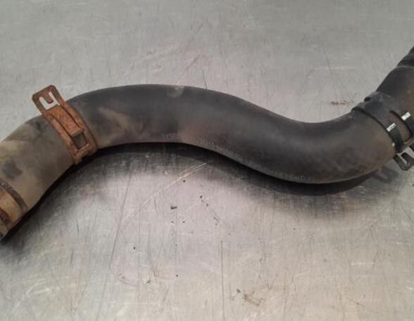 Radiator Hose KIA SPORTAGE (SL)