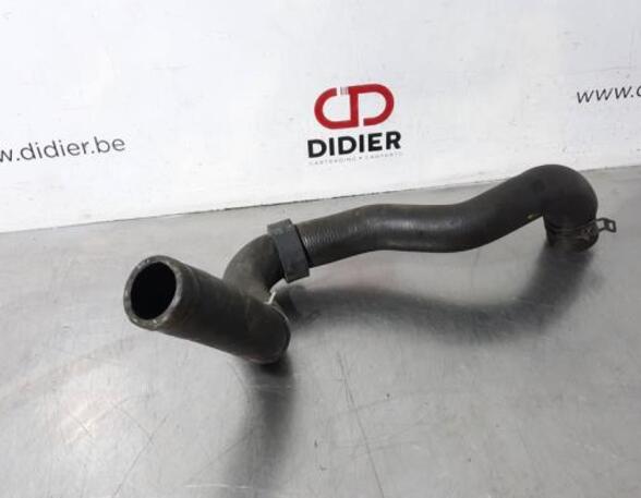 Radiator Hose DACIA SANDERO II