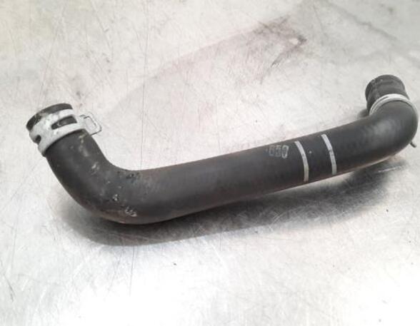 Radiator Hose RENAULT CLIO V (B7_)