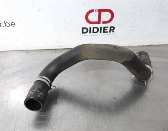 Radiator Hose CITROËN C3 II (SC_)