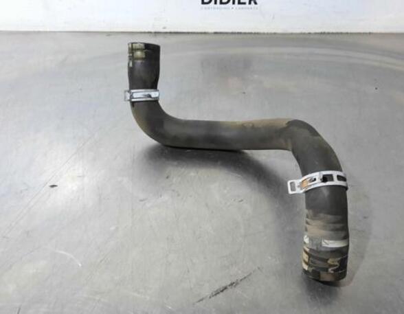 Radiator Hose CITROËN C3 II (SC_)