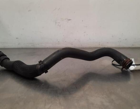 Radiator Hose PEUGEOT 208 I (CA_, CC_), PEUGEOT 2008 I (CU_)